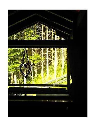 Haus-Bucheneck-Wohnung-Sonnenaufgang Oberstdorf 0*,  Duitsland